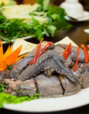 GÀ Homong hấp hành